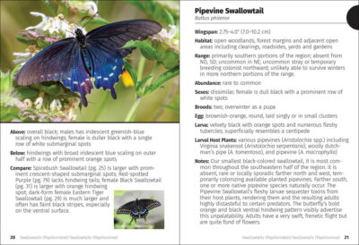 Butterflies of the Midwest Field Guide - Image 2