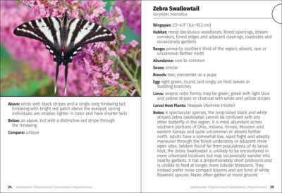 Butterflies of the Midwest Field Guide - Image 4