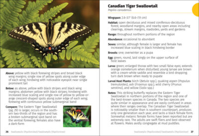 Butterflies of the Midwest Field Guide - Image 5