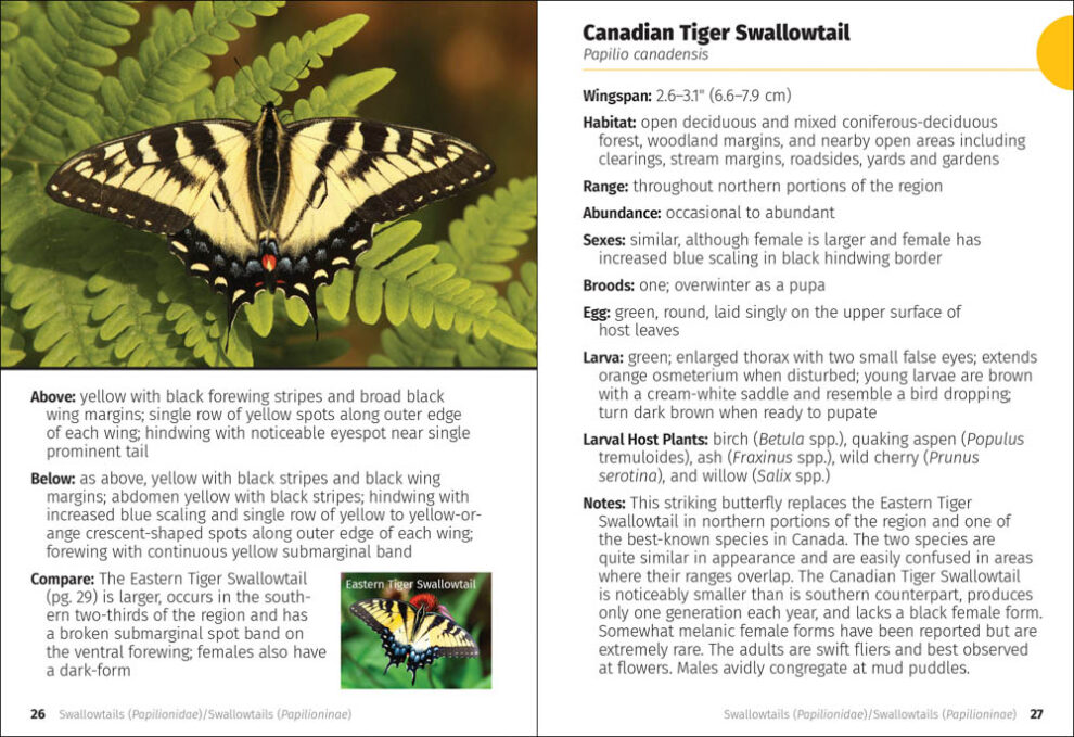 Butterflies of the Midwest Field Guide AdventureKEEN Shop