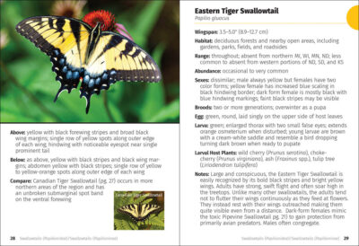 Butterflies of the Midwest Field Guide - Image 6