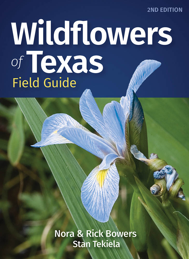 2021 Wildflower Guide — Friends Of Government Canyon