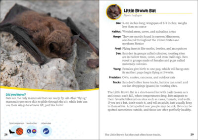 Critters of Minnesota - Image 3