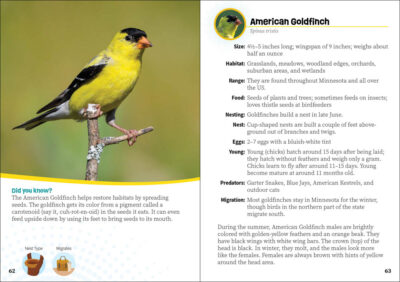 Critters of Minnesota - Image 4