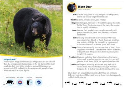 Critters of Michigan - Image 2