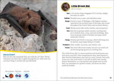 Critters of Michigan - Image 3