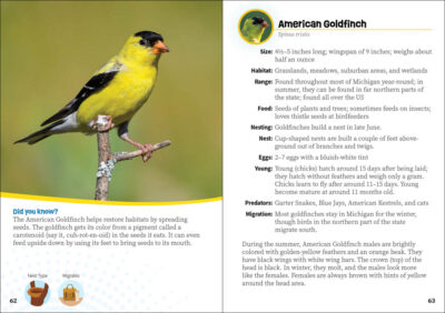 Critters of Michigan - Image 4