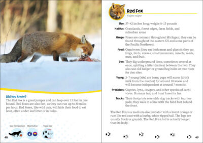 Critters of Michigan - Image 5