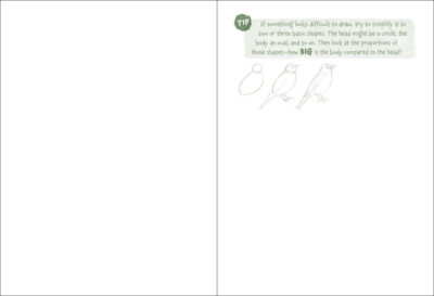 Nature Explorer Sketchbook - Image 2