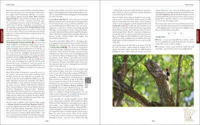 A Birder's Guide to Minnesota - Image 3