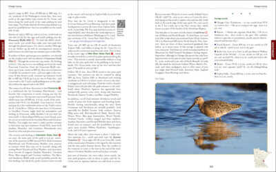 A Birder's Guide to Minnesota - Image 5