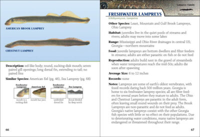 Freshwater Fish of Georgia Field Guide - Image 2
