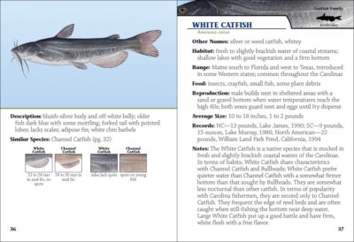 Freshwater Fish of the Carolinas Field Guide - Image 2