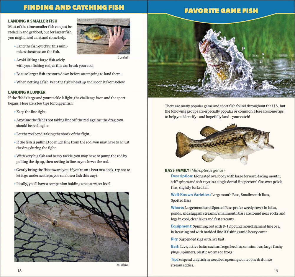 Bait Catching Fish and Sea Life Guide - So. Atlantic [Guide-1] - $14.99 : America  Go Fishing Online Store, New Fishing and Diving Adventures Start Here