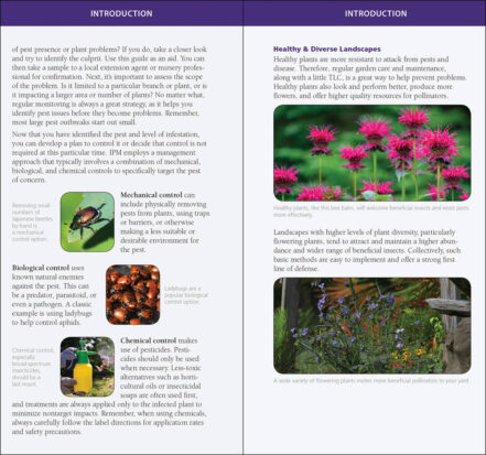 Garden Bugs & Insects of the Midwest - AdventureKEEN Shop