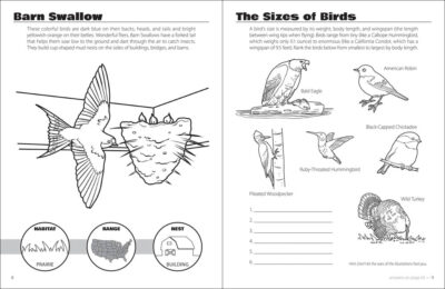 Birds & Friends Activity Book - Image 3