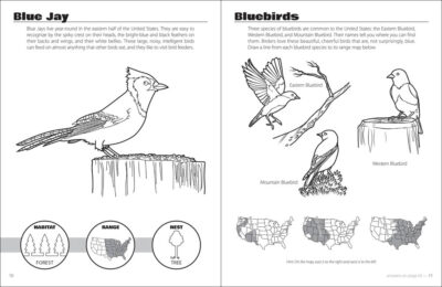Birds & Friends Activity Book - Image 4