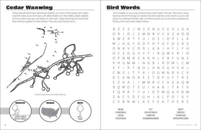 Birds & Friends Activity Book - Image 5