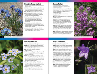 The Rocky Mountain Plant Guide - Image 2
