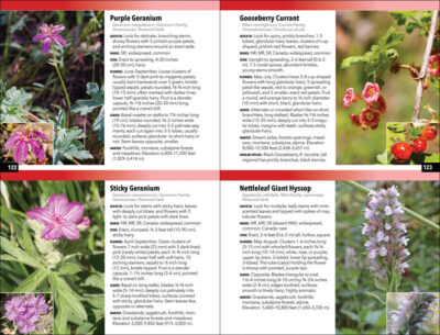The Rocky Mountain Plant Guide - Image 3