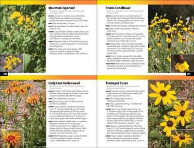 The Rocky Mountain Plant Guide - Image 4