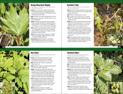 The Rocky Mountain Plant Guide - Image 5