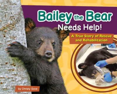 Bailey the Bear Needs Help! - Image 2