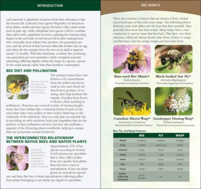 Common Native Bees of the Western United States - Image 2