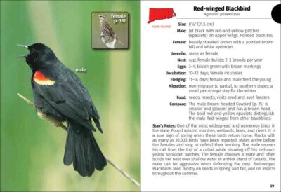 Birds of Connecticut & Rhode Island Field Guide - Image 2