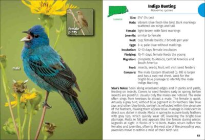 Birds of Connecticut & Rhode Island Field Guide - Image 3