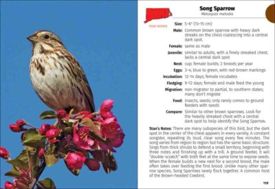 Birds of Connecticut & Rhode Island Field Guide - Image 5