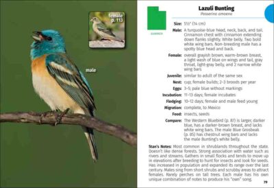 Birds of Utah Field Guide - Image 4