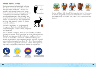 Critters of Florida - Image 3