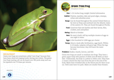 Critters of Florida - Image 5
