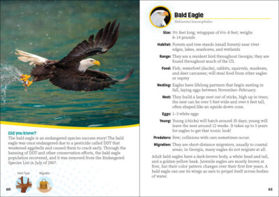 Critters of Georgia - Image 4