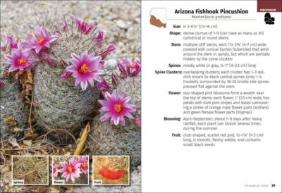 Cacti of Arizona Field Guide - Image 2
