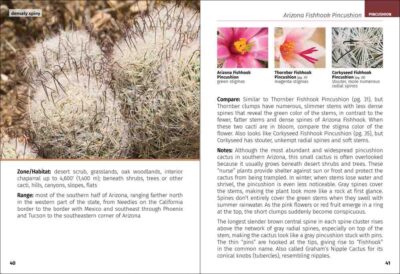 Cacti of Arizona Field Guide - Image 3