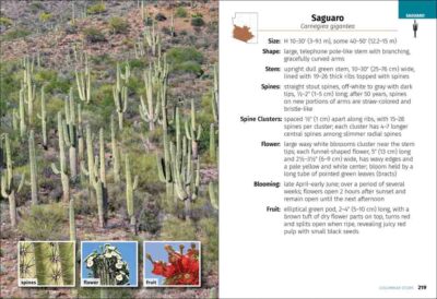 Cacti of Arizona Field Guide - Image 4
