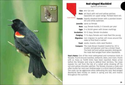 Birds of Nevada Field Guide - Image 2