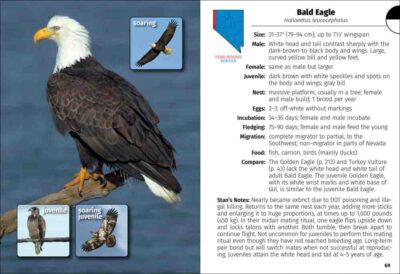 Birds of Nevada Field Guide - Image 3