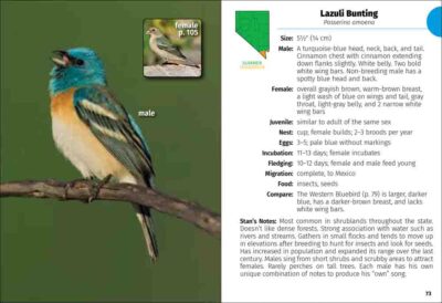 Birds of Nevada Field Guide - Image 4