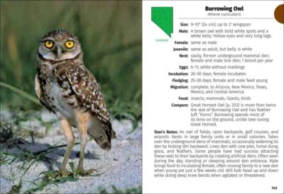 Birds of Nevada Field Guide - Image 5