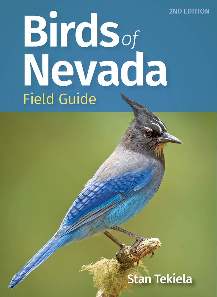 Birds of Nevada Field Guide - AdventureKEEN Shop