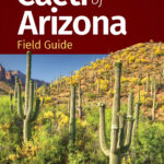cacti_of_arizona_9781647553975