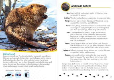 Critters of Wisconsin - Image 2
