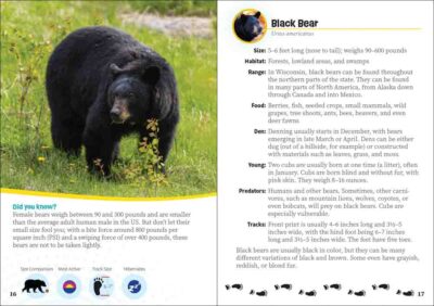 Critters of Wisconsin - Image 3