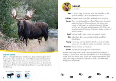 Critters of Wisconsin - Image 4