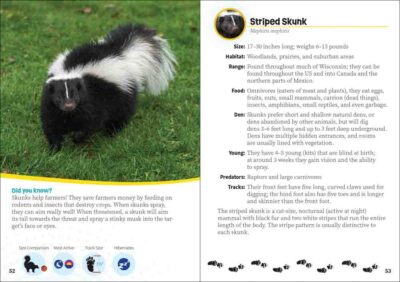 Critters of Wisconsin - Image 5