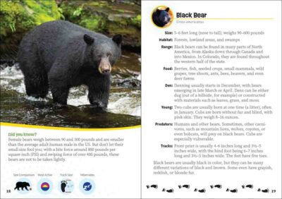 Critters of Colorado - Image 3