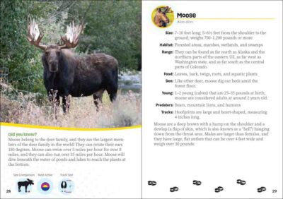 Critters of Colorado - Image 4